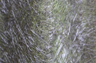 Meole Brace fibreglass roof work