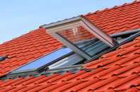 Meole Brace roof window